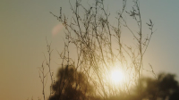 Down Home Fab S02E05 1080p HEVC x265-MeGusta EZTV Down Home Fab S02E05 1080p HEVC x265-MeGusta EZTV