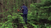 Fight To Survive S01E03 720p WEB H264-CBFM EZTV