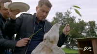 The Lowe Files S01E07 HDTV x264-W4F[eztv]
