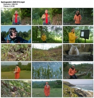Springwatch 2020 E12 (1280x720p HD, 50fps, soft Eng subs)
