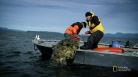 Port Protection S02E02 720p HDTV x264-CURIOSITY EZTV Port Protection S02E02 720p HDTV x264-CURIOSITY EZTV
