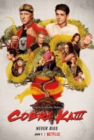 Cobra Kai S03 WEBRip x264-ION10