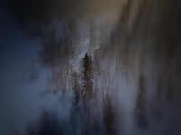 Life Below Zero First Alaskans S01E03 480p x264-mSD EZTV Life Below Zero First Alaskans S01E03 480p x264-mSD EZTV