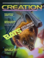 Creation Magazine 2020 - 5 issues pdf Creation Magazine 2020 - 5 issues pdf