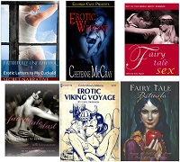 20 Erotic Books Collection Pack-14