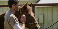 Walker S01E10 Encore 1080p HEVC x265-MeGusta EZTV