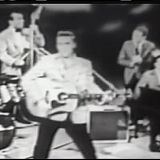 Elvis Presley A Legend In Concert 2019 HDTV x264-LiNKLE[TGx]
