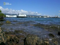 Ocean Wreck Investigation S01E03 480p x264-mSD EZTV