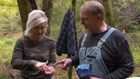 Moonshiners S11E15 XviD-AFG EZTV
