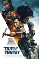 Triple Threat 2019 720p BluRay HEVC x265-RMTeam