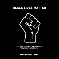 VA - BLACK LIVES MATTER COMPILATION (2020) Mp3 320kbps [PMEDIA] ️