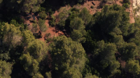 Surviving Paradise S01E05 XviD-AFG EZTV Surviving Paradise S01E05 XviD-AFG EZTV
