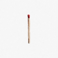 Rammstein - RAMMSTEIN (2019) Mp3 320kbps Quality Album [PMEDIA]