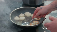 Hells Kitchen US S23E10 720p HEVC x265-MeGusta EZTV Hells Kitchen US S23E10 720p HEVC x265-MeGusta EZTV