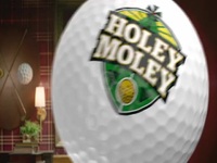 Holey Moley S04E08 480p x264-mSD EZTV