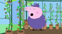 Peppa Pig S05E12 HDTV x264-CREED[eztv]