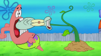 SpongeBob SquarePants S11E31 WEBRip x264-ION10 SpongeBob SquarePants S11E31 WEBRip x264-ION10