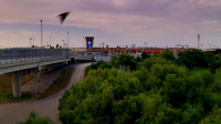 Contraband Seized at the Border S05E07 XviD-AFG EZTV