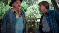 The Waltons S02 WEBRip x264-ION10