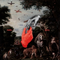 Chris Liebing - Burn Slow [CD] (2018) [Mp3-320 kbps] [Runderground]