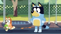 Bluey S03E30 XviD-AFG EZTV Bluey S03E30 XviD-AFG EZTV