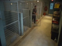 Animal Control S01E11 480p x264-mSD EZTV
