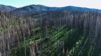 Life Below Zero First Alaskans S02E06 XviD-AFG EZTV Life Below Zero First Alaskans S02E06 XviD-AFG EZTV