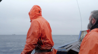 Deadliest Catch S19E18 1080p WEB h264-EDITH EZTV Deadliest Catch S19E18 1080p WEB h264-EDITH EZTV
