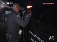 Live PD S04E42 480p x264-mSD [eztv]