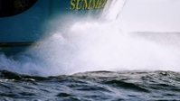 Deadliest Catch S18E15 1080p HEVC x265-MeGusta EZTV