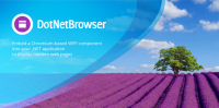 TeamDev DotNetBrowser v1.21.2 + Patcher [FTUApps]