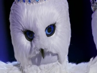 The Masked Singer S04E07 480p x264-mSD EZTV