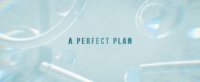 A Perfect Plan 2020 720p WEBRip x265 10bit HEVC [AvRips]