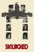 Skyjacked 1972 DVDRip x264[TGx]