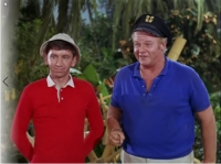 Gilligans Island: The complete Series: MP4 [samson599]