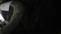 Rescue Cam S01E05 WEB h264-BAE EZTV Rescue Cam S01E05 WEB h264-BAE EZTV