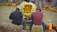 Outrageous Pumpkins S05E05 XviD-AFG EZTV Outrageous Pumpkins S05E05 XviD-AFG EZTV