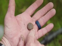 Beyond Oak Island S02E03 480p x264-mSD EZTV