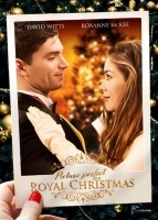 Picture Perfect Royal Christmas 2020 480p WEBRip x264