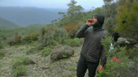 Race to Survive S02E09 XviD-AFG EZTV