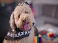 Barkley Manor S01E04 480p x264-mSD EZTV Barkley Manor S01E04 480p x264-mSD EZTV