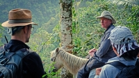 BBC Our World - Colombia Saving Eden MP4 + subs BigJ0554