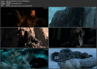 Alpha 2018 1080p WEB-DL x265 AAC-4EVERDOWNS
