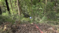Paramedics S03E03 XviD-AFG EZTV Paramedics S03E03 XviD-AFG EZTV