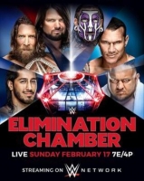WWE Elimination Chamber 2019 PPV WEB h264-HEEL [TJET]