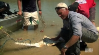 River Monsters S04E08 Phantom Assassin PROPER HDTV x264-W4F[eztv]