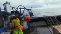 Deadliest Catch S19E14 1080p HEVC x265-MeGusta EZTV Deadliest Catch S19E14 1080p HEVC x265-MeGusta EZTV