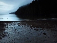 Port Protection S05E07 New Blood 480p x264-mSD [eztv]
