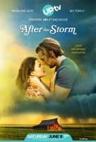 After the Storm 2019 (UpTv) 720p HDTV X264 Solar