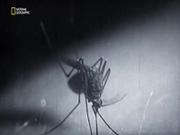 Cold War The Tech Race S01E02 480p x264-mSD EZTV Cold War The Tech Race S01E02 480p x264-mSD EZTV